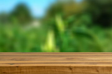 table and green grass