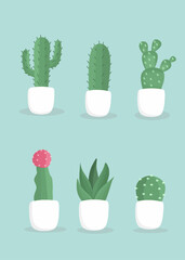 set of cactus in pots, Set of cactus elements, cactus on the pot 