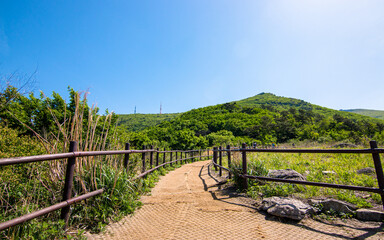 Fototapeta na wymiar Landscape view of hiking trail in Mount Mudeungsan, Gwangju, South Korea.