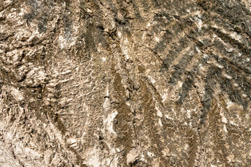 Stone Texture with Abstract Patterns on Wall - Natural Granite and Concrete Surface in Brown, Grey, and Black Tones, showcasing Macro Details of Old, Rough, and Textured Material