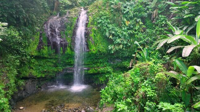 Push in shot of a tropical waterfall and pool in the Puerto Rican mountains, surrounded by lush rainforest vegetation.mountains.