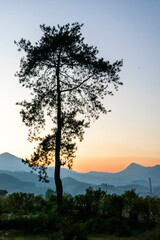A natural view of Cikole Camping Park, Bandung, Indonesia, a perfect camping destination.