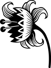 Floral hand drawn vintage illustration. Engraved nature elements and objects