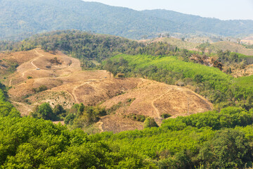 The biggest cause of forest loss is agricultural deforestation ,environmental damage in Southeast...