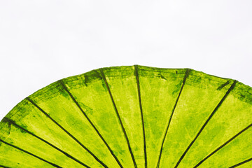 Arrière plan perspective et lignes design tissu d'un parasol coloré