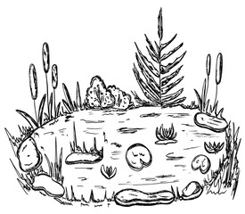 Pond with water lily and reed grass in hand drawn sketch style - obrazy, fototapety, plakaty