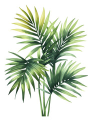Palm Sunday Palms, simple watercolor illustration