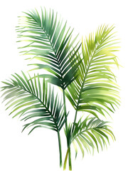 Palm Sunday Palms, simple watercolor illustration