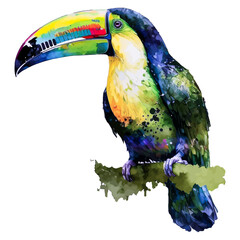 Close-up vector illustration of a toucan bird, rendered in a vivid watercolor style on a white backdrop