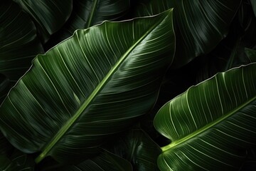 Detailed shot of a vibrant green leaf, perfect for nature backgrounds