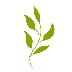 Branch with green leaves.A simple flat illustration