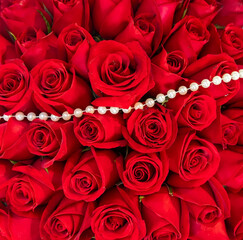 red rose background ,natural texture
