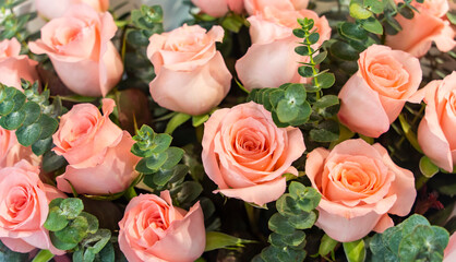 Close up of the pastel colored roses