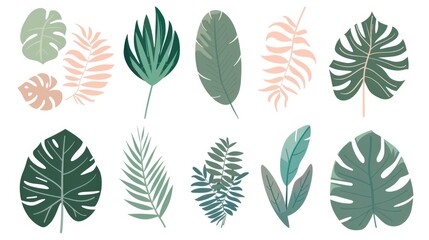 A collection of vibrant tropical leaves on a clean white background. Perfect for botanical designs