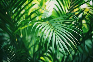 Detailed view of a vibrant green palm leaf, perfect for tropical themes