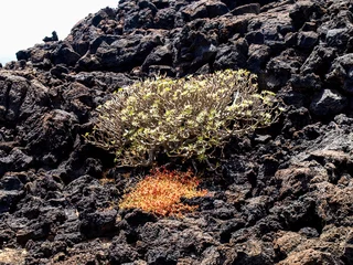 Papier Peint photo autocollant les îles Canaries Timanfaya National Park is a national park in the Canary Islands