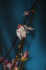 Early spring flower branches blooming inside the house. Macro shoots on a blue background. Easter celebrations. Beautiful details of petals and flowers