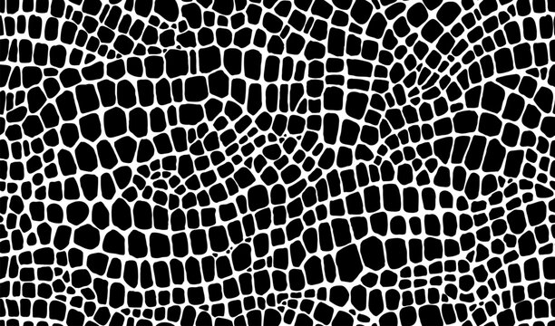 Crocodile, dinosaur and snake reptile skin pattern of animal leather, vector background. Abstract black and white crocodile or snake skin texture pattern of python, alligator or snakeskin lizard print