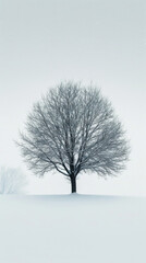 Fototapeta na wymiar Lone Tree Standing in Snowy Field