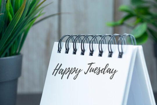 Happy tuesday text on white calendar with potted plant background.