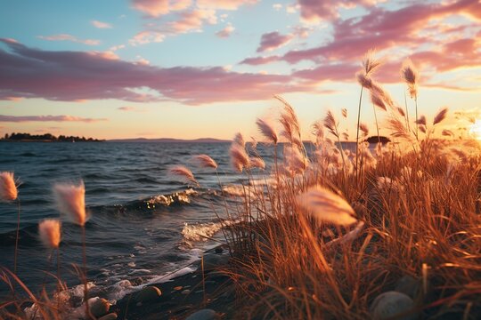 a sunset view with grass and water in the background, in the style of graflex speed graphic, light magenta and sky-blue, light violet and brown