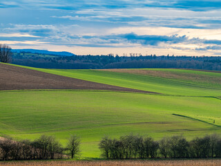 Haine und Wäldchen im Feld