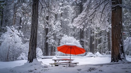 Contrasting winter scene with a solitary beach umbrella over a snow-covered picnic table in a tranquil forest, offering a unique blend of beach and winter elements