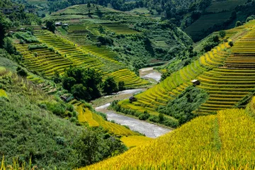 Crédence de cuisine en verre imprimé Mu Cang Chai Rice fields on terraced of Mu Cang Chai, YenBai, Vietnam.