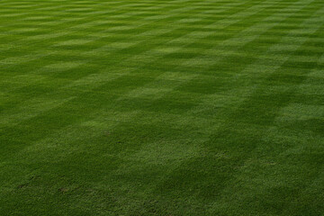 Baseball or Softball outfield is seen, mowed in a pattern before a game.