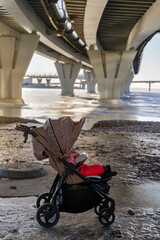 A baby in a stroller on the banks of the Neva River in winter