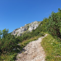 Fototapeta na wymiar path in the mountains