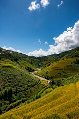 Rice fields on terraced of Mu Cang Chai, YenBai, Vietnam.