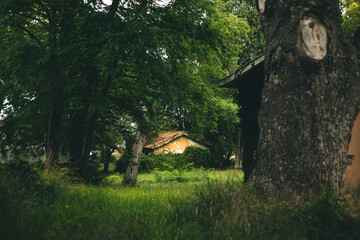 Casa de campo antigua en medio de un bosque de Perlora, Asturias © Csar