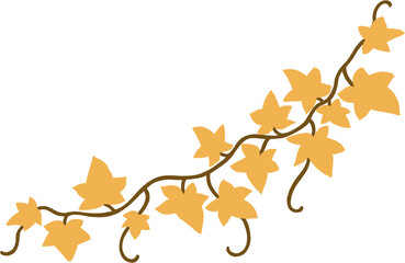 ivy plant drawing illustration.