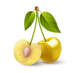 Isolated yellow cherries on one stem with green leaf on white backdrop. Two sweet cherry fruits on one stem, one cut in half with a pit - 746688555