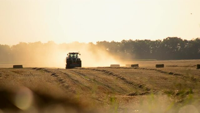 Combine harvester pressing straw from field into bales driving field on sunny summer evening. Field with bales of pressed wheat. Lots of dust on field. Agricultural agro industrial harvesting works.