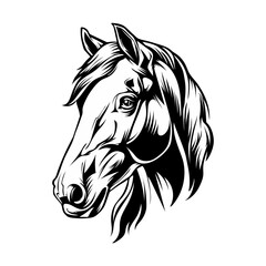 Horse Stock vector Illustration