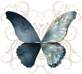 Schmetterlingsflügel in bläulichen Aquarellfarben mit zarten Linien Ornamenten