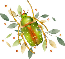 Stephanorrhina guttata-grünes Käfer Insekt mit Blätter
