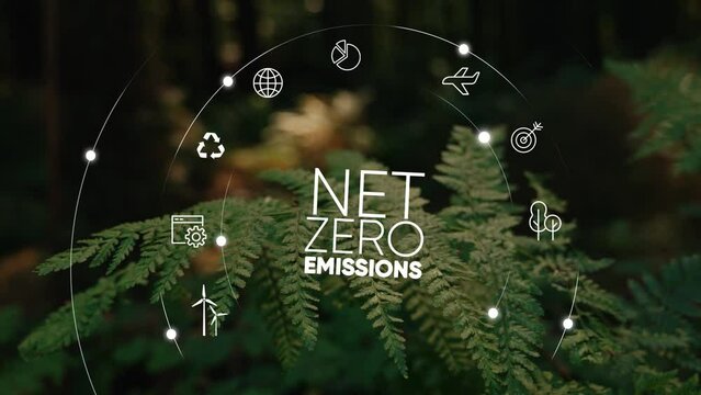 Net zero emission concept 2050. Carbon neutral concept. Net zero greenhouse gas emissions target. Climate neutral long term strategy.Growth chart with net zero icons. No toxic gase