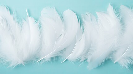Fototapeta na wymiar White fluffy feathers on pale teal blue background