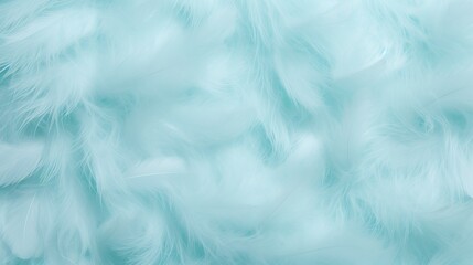 White fluffy feathers on pale teal blue background