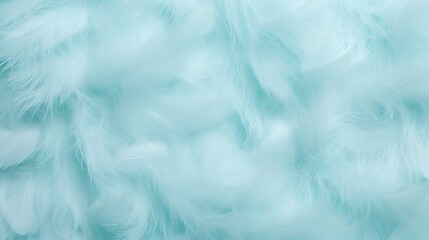 Obraz premium White fluffy feathers on pale teal blue background