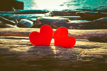 Hearts on the Seashore - 746695512