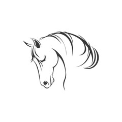 Portrait of a beautiful horse made with lines, vector illustration