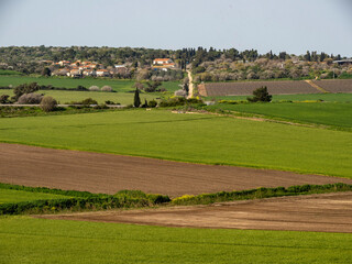 Fototapeta na wymiar landscape with grass and fields, agricultural fields in the north of Israel. 