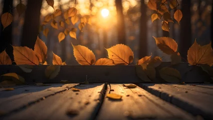  Bright autumn leaves on wooden bench in sunlight, falling leaves, sunset, trees, sun rays, serene scene © CraftyStarVisual