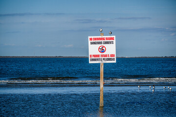 birds perched on no swimming sign at beach