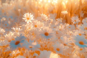 Foto op Plexiglas field with gerbera daisy flowers in sunny morning. Beautiful spring vibes © Miss V