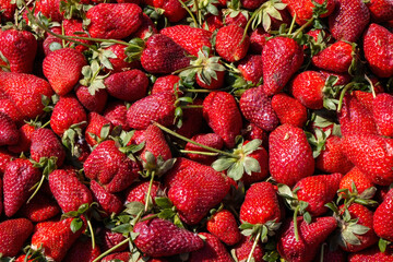 Strawberries background. Strawberry. Food background..